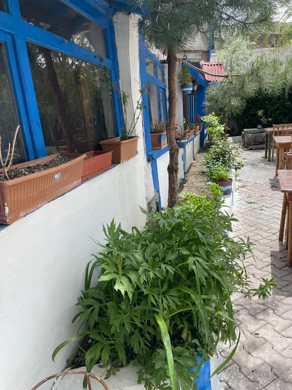 Şairin Yeri - 37. Fotoğraf