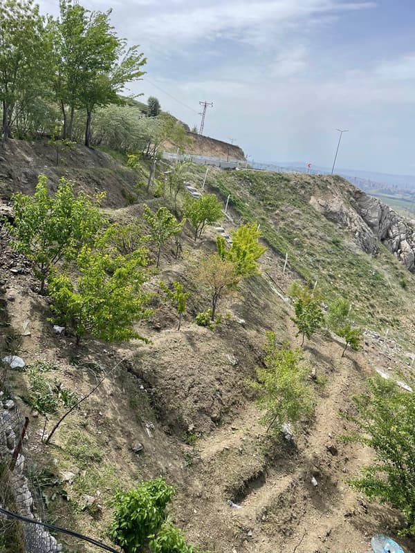 Şairin Yeri - 39. Fotoğraf