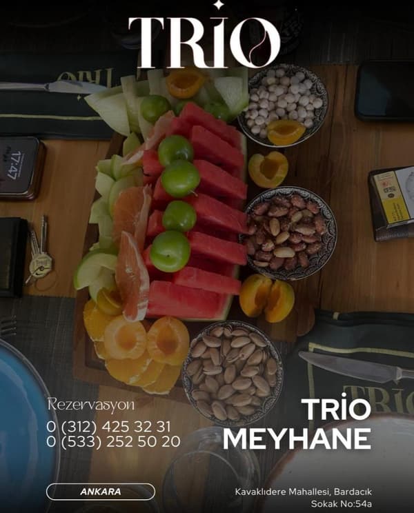 Trio Meyhane - 8. Fotoğraf