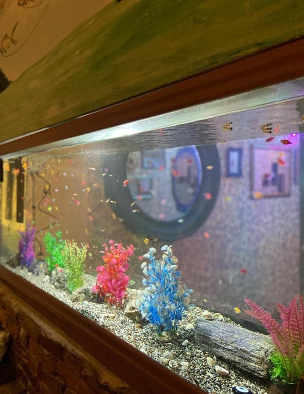 Trio Meyhane - 6. Fotoğraf