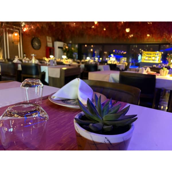 Palmiye Restoran - 10. Fotoğraf