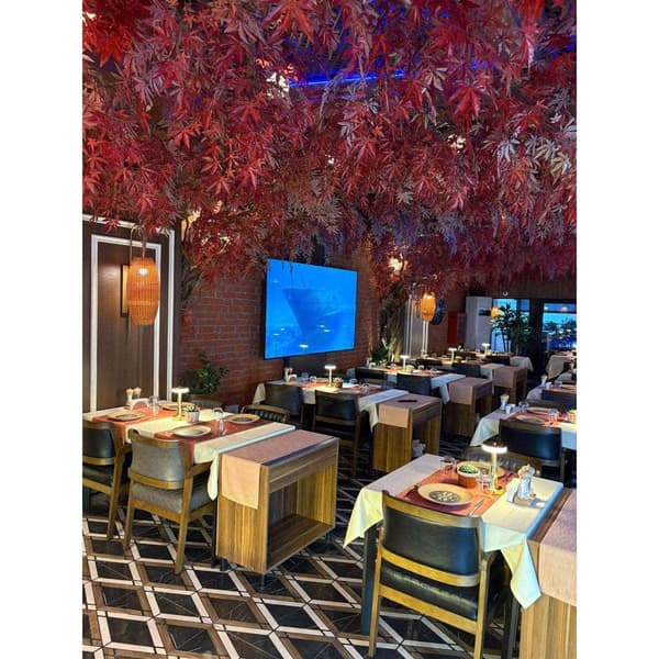 Palmiye Restoran - 8. Fotoğraf