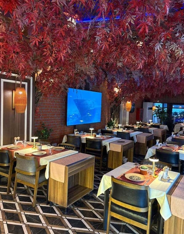 Palmiye Restoran - 6. Fotoğraf