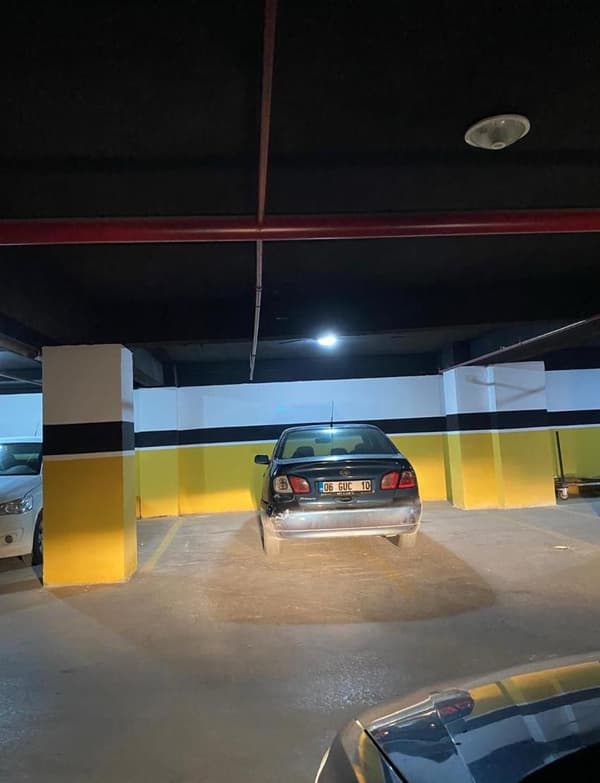 Palmiye Restoran - 13. Fotoğraf