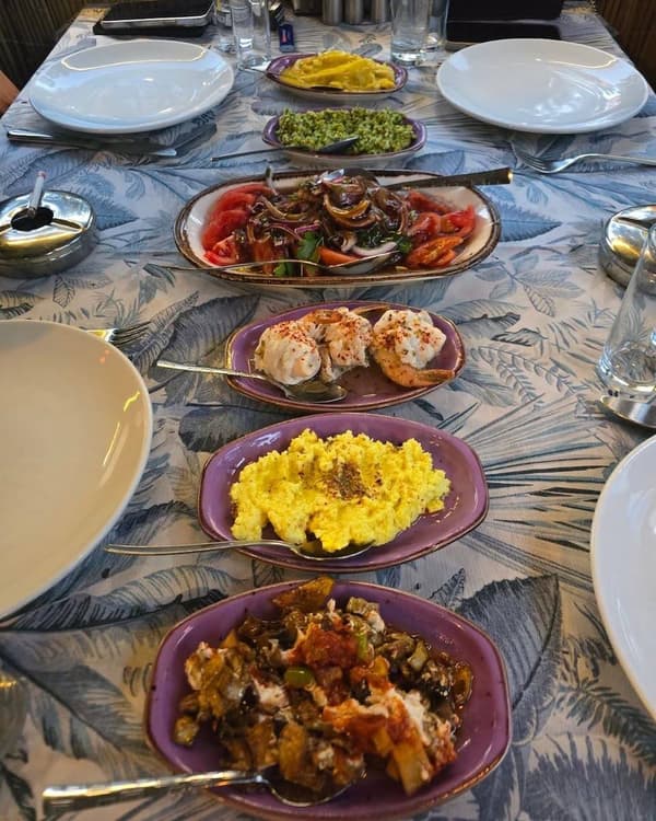 Çiroz Balık Servet - 2. Fotoğraf Çiroz Balık Servet - 2. Fotoğraf