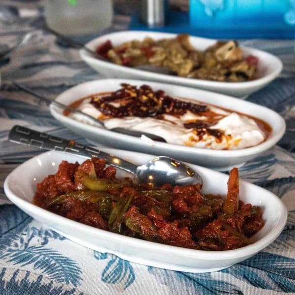 Çiroz Balık Servet - 3. Fotoğraf